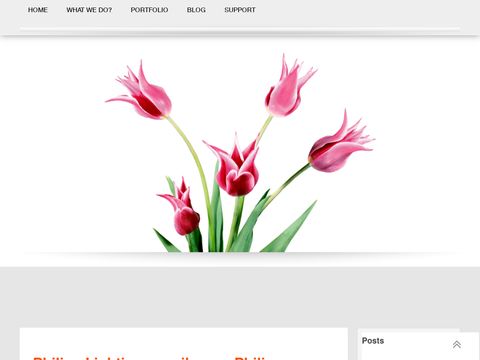 My Decorative Flowers