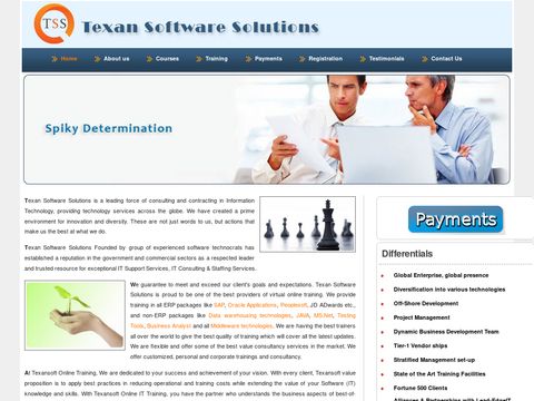 Texan Software Solutions Online IT Training