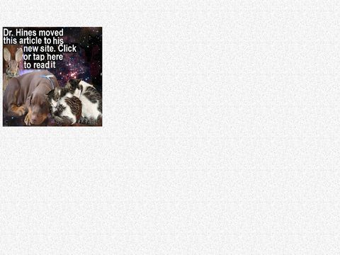 Guinea Pig Pregnancy