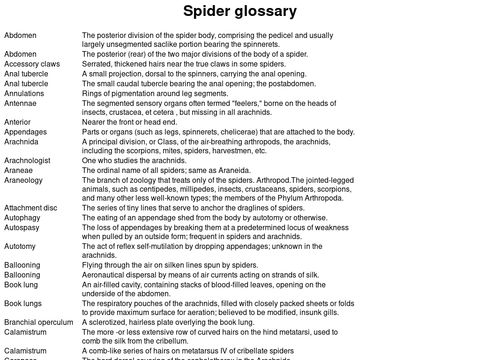 Spider Glossary