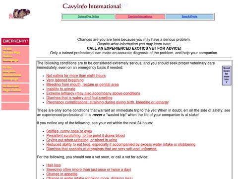 CavyInfo International