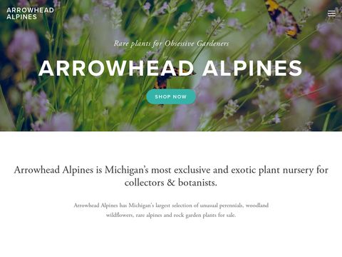 Arrowhead Alpines