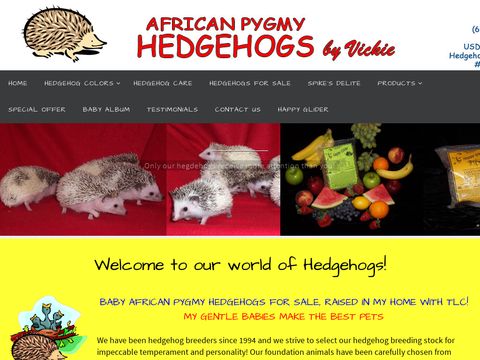 Hedgehogs By Vickie