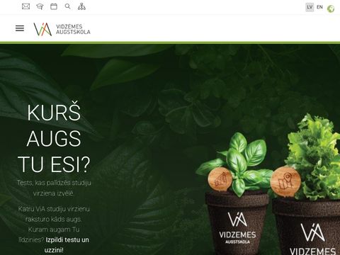 Vidzeme University College