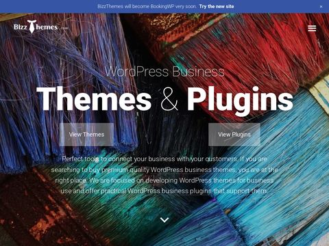 BizzThemes