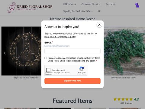 Dried Floral Shop.com
