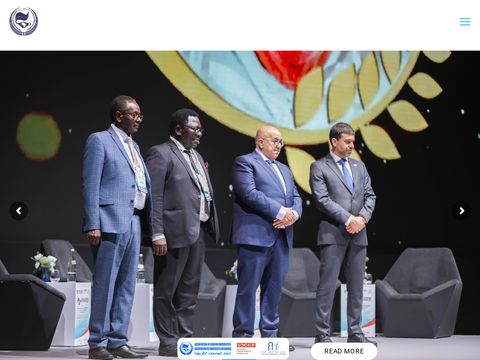 Association of African Universities