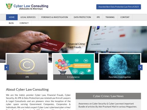 Cyber Law Consulting