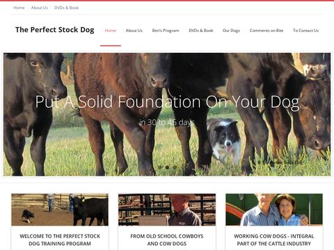 Perfect Stock Dog Training Program