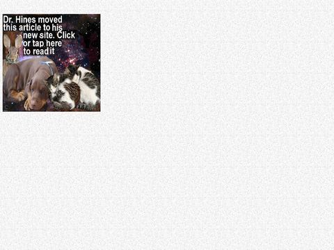 Caring For Orphaned Wild Bunnies