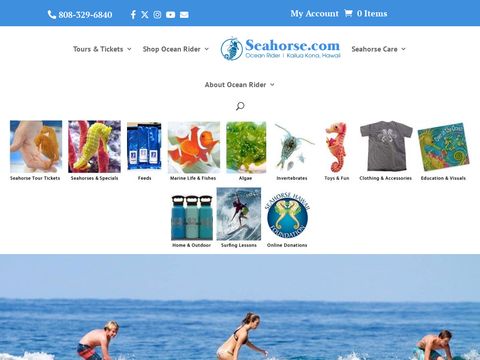 Ocean Rider Giant Seahorses