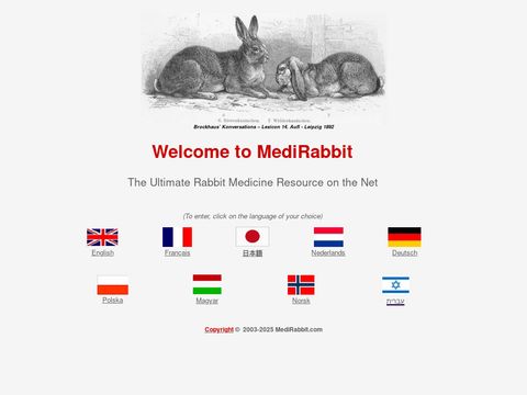 Medirabbit
